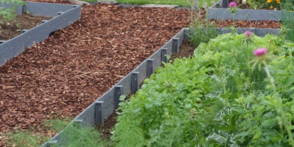 Bordure